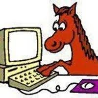 TheEquineCoder Profile