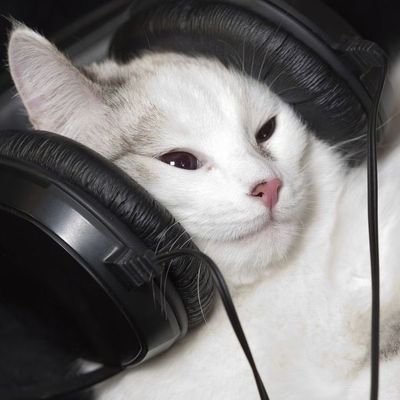 dsc0nnect's profile picture. Naruteiro, pretenso escritor e headbanger. Agnóstico. Formado em Letras. De esquerda. Lulismo selvagem.