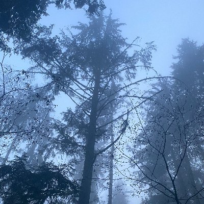 MARtianfRAMer's profile picture. creative, spouse, parent of 2, ❤️sci-fi, the idea of a positive future, believer in humans being, aware, smart and evolving - no ai involved in my art