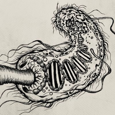 現役医学生6年です。医療系のアートを作ってます。細菌、ウイルス、原虫、寄生虫、組織像など。身体にとっては害ですが、アートにしてみるとどこか神秘的です。医学知識の補給のついでにぜひご覧あれ〜