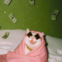 k (@dev1lprincesss) 's Twitter Profile