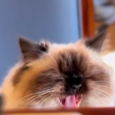 michi13412's profile picture. 