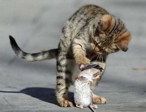 riverrun11's profile picture. 부끄럽지않는 아빠가 되자