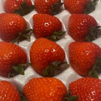市場人 果物担当 (@fruits_ichiba) 's Twitter Profile