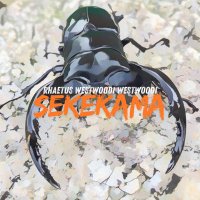 T-1 (@sekekama_reign) 's Twitter Profile