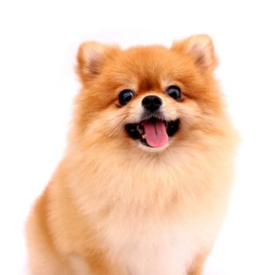 rainrain888888's profile picture. 興味のあるモノ
すべてについて呟く
フォローしないでね
絶対フォローしないでね