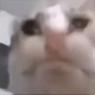 xiyin1017's profile picture. 🇨🇳18＋
我不会说英文，我会使用翻译器