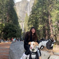 Lera.eth (@lerassalazar) 's Twitter Profile Photo Lera.eth (@lerassalazar) 's Twitter Profile Photo