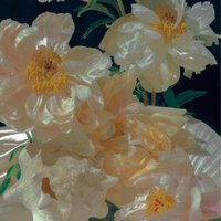 Nashuesm (@nashuesmpghh) 's Twitter Profile