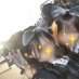 りん (@nucit__) Twitter profile photo りん (@nucit__) Twitter profile photo