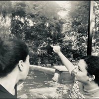 'Akanesi 'Emeline (@aekatoa) 's Twitter Profile