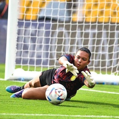 LeonardoC23820's profile picture. 