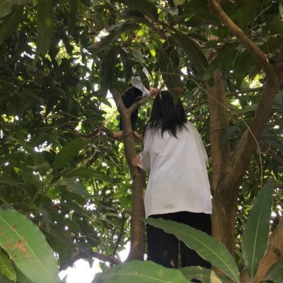 huzakaroka's profile picture. i'm girl