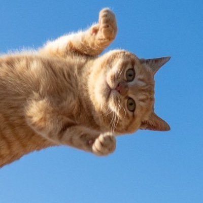 mizukimoh's profile picture. 26/女ホル接種初心者/ダイエット中