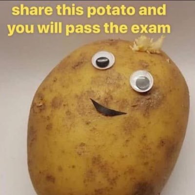 Pimma566915's profile picture. 