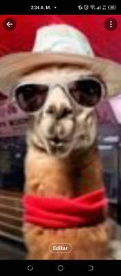 Luistekken7's profile picture. Video juegos