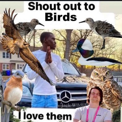 rom4ntin's profile picture. @OM_Officiel