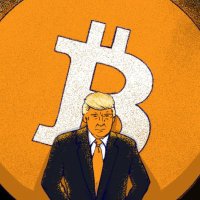 Mamun (@mmakub17538) 's Twitter Profile