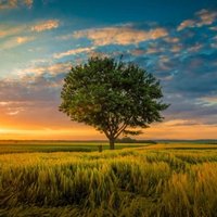 प्रकृति की झलक ....A glimpse of nature (@saurabh08121) 's Twitter Profile Photo