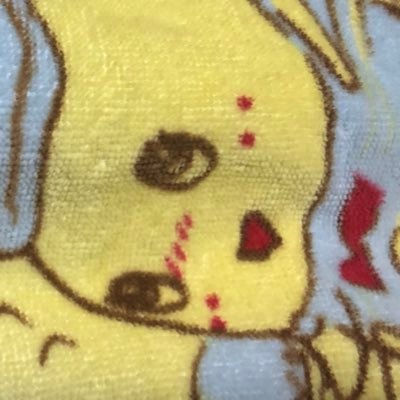 hyahhhhhhaaa274's profile picture. 近鉄が好きな腹を壊しがちの梨。捕獲しても現在地は秘密にしてください。最近は撮りメインじゃなく乗ってて思った事をぼんや〜り呟く日々です。変なのはブロックしてます。悪しからず… はふーん！サブの2号機はこちらから→@nashinasshi274