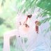 Ayakuro (@k5se4f6ttu1417) Twitter profile photo Ayakuro (@k5se4f6ttu1417) Twitter profile photo