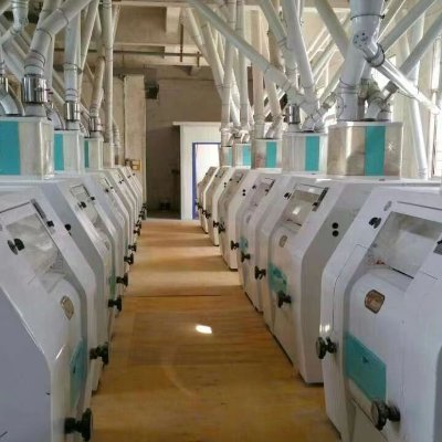 mose25880960's profile picture. 