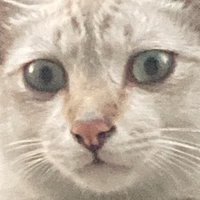 น้องเฮร๊าะห์ชอบหิน! (@jluvfs_) 's Twitter Profile Photo น้องเฮร๊าะห์ชอบหิน! (@jluvfs_) 's Twitter Profile Photo