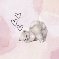 なすけ (@bachimagurokun) 's Twitter Profile
