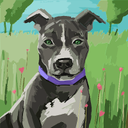 Francisco Javier Perea Fernandez - @pereafran220971 - Twitter