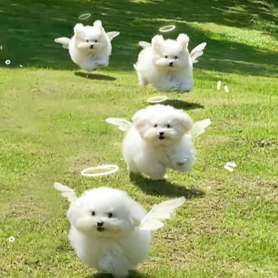 5zFQUK6P2t5nIGd's profile picture. 無言フォロー失礼します🙇‍♂️独身アラサーニート😇働きたくないから使わない、低燃費系こじき🧌整形/美容/資産運用/歯列矯正したい