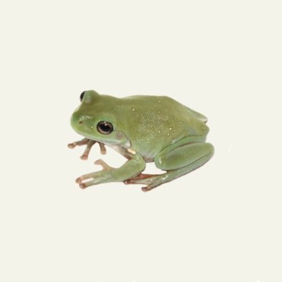 shuwnil's profile picture. pshs-mc ‘27 • t-ca-na-ph