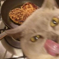Johannx. (@anananansecret1) 's Twitter Profile