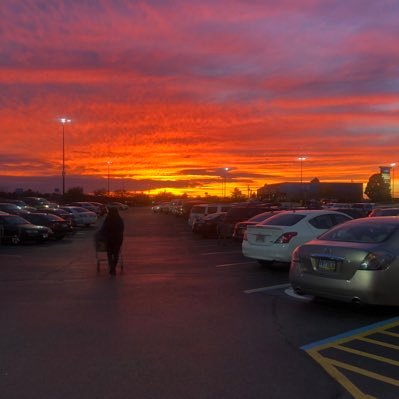 yvette_tarver's profile picture. 