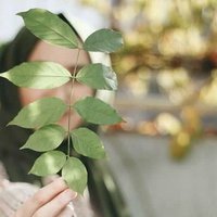 asemaneabi_🍃گیـــلـ دختـ (@asemaneabi0) 's Twitter Profile