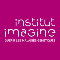 Institut Imagine (@institutimagine) 's Twitter Profile
