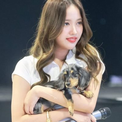 latenights12345's profile picture. Let's TaLk MoRe sTaLk😜😎😚🖕🌷❤🐣🐤🐥🐰

my one and only gurL😙

LOYAL GIRLFREEN😙

#FREEN STAN #GIRLFREEN
#srchafreen @srchafreen @SOLENN_ENTERTAINMENT🌷