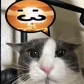 GoogiestGoog's profile picture. im just a goog frfr