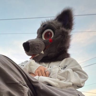 Polish🇵🇱/English🇬🇧 | Furry🔥| editor, artist and IT specialist❤️ | Top/switch
