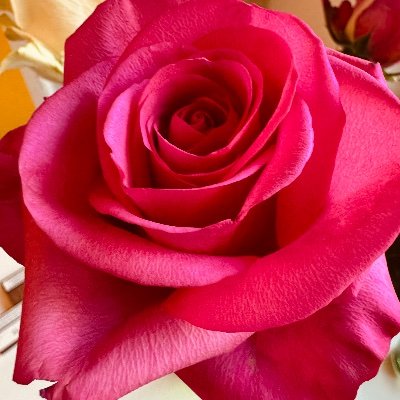 FlightVodu's profile picture. 