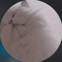 l!l^._.^ (@k___satoi34) 's Twitter Profile Photo l!l^._.^ (@k___satoi34) 's Twitter Profile Photo