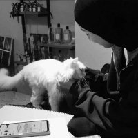 D (@d_2022003) 's Twitter Profile Photo D (@d_2022003) 's Twitter Profile Photo