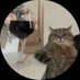 حلا (@uiiiuuiu) Twitter profile photo حلا (@uiiiuuiu) Twitter profile photo