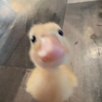 miriamrmartinez's profile picture. 