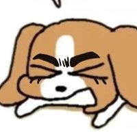 Las_ (@zoexo991111) 's Twitter Profile Photo