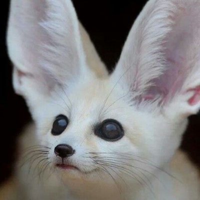 comeacropper's profile picture. fall heavily, fail completely. try again - i draw sometimes