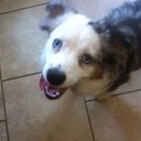 Amy Jansen - @amyj234 - Twitter