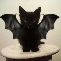 m (@mercihandy) 's Twitter Profile