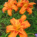 Madison Alyssa - @alyssa_madison - Twitter