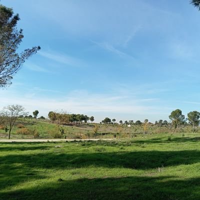 AQ6F8dN5UBLJJsl's profile picture. 信仰、人心与制度