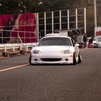 うすい。 (@usui_nb8c) 's Twitter Profile